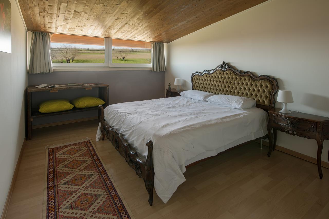 Mont'Albano Bed & Living Bed & Breakfast Savorgnano Exterior photo